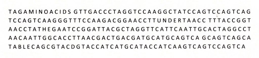 fragmento de ADN 