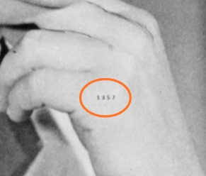 numeración en la mano de Rosalind Franklin